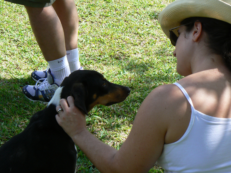 09_Mayan_dog