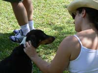 09_Mayan_dog