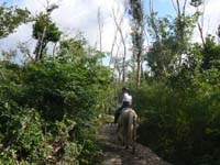 37_Cozumel