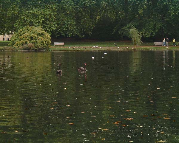 DSCF0052