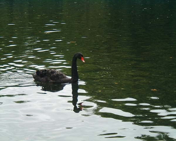 DSCF0054