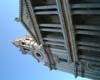 DSCF0029