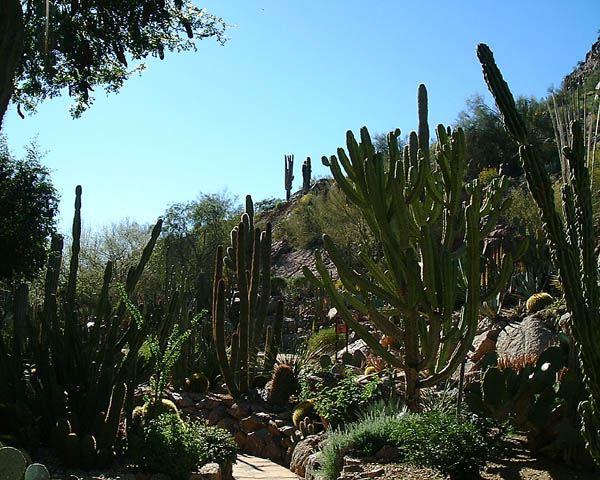 DSCF0005