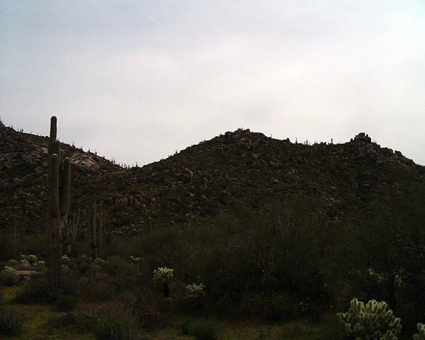 DSCF0048