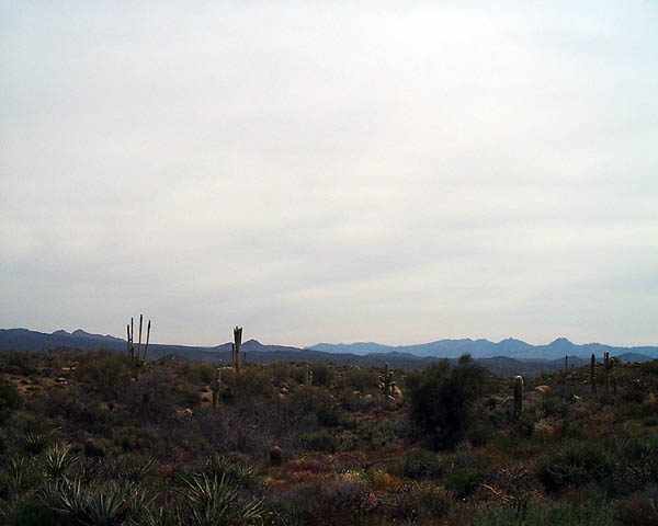 DSCF0051