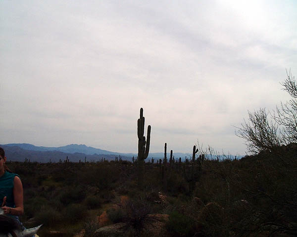 DSCF0053