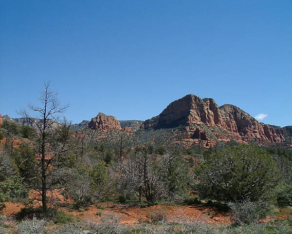 DSCF0080