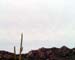 DSCF0034