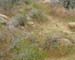 DSCF0054
