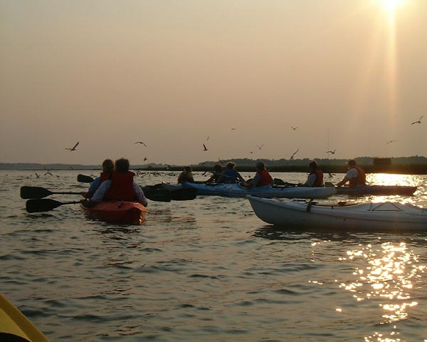DSCF0150