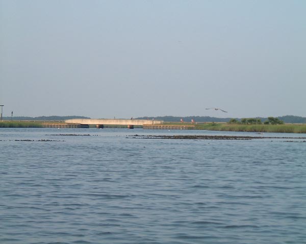 DSCF0154