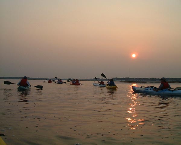 DSCF0161