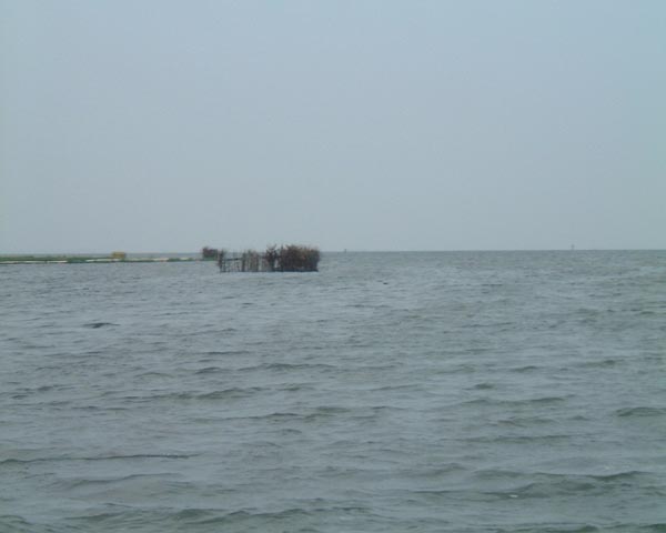 DSCF0168