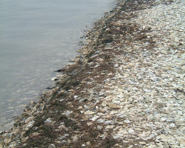 DSCF0170
