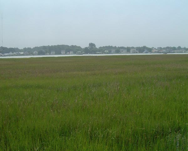 DSCF0172