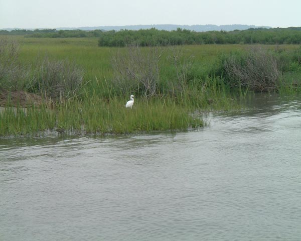 DSCF0175