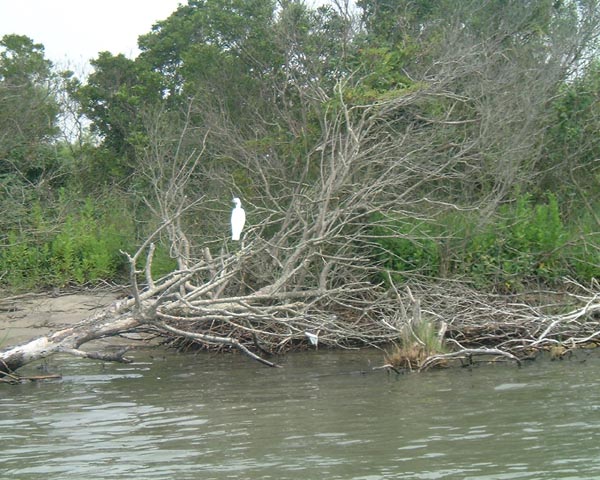 DSCF0176