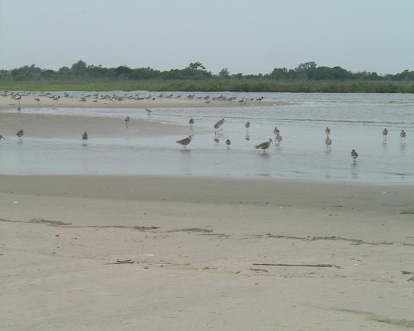 DSCF0178