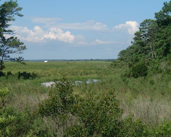 DSCF0183