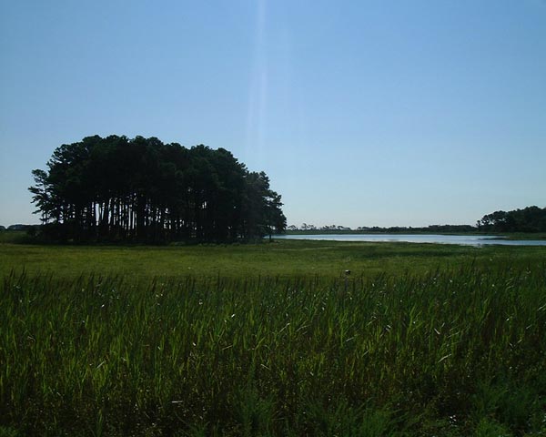 DSCF0185