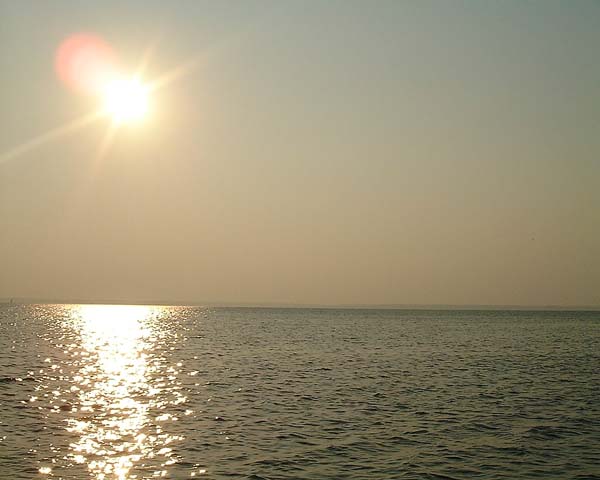 Chincoteague05 033