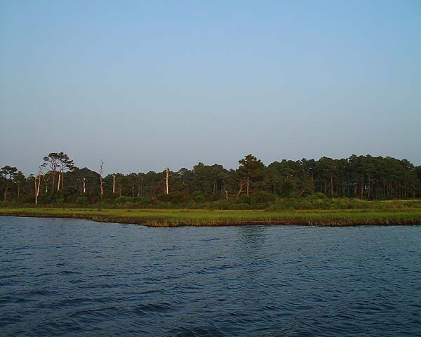 Chincoteague05 035