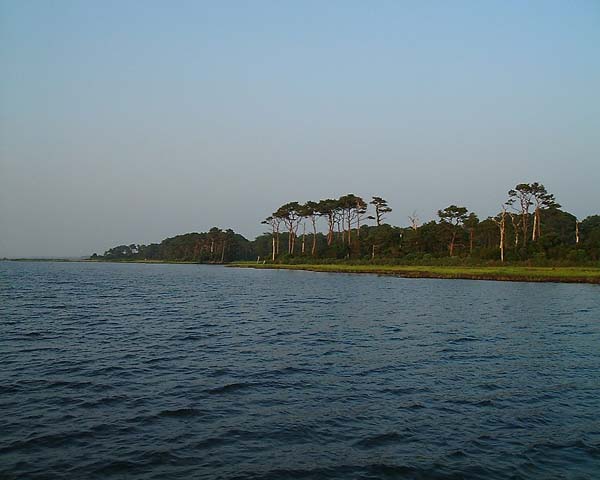Chincoteague05 036