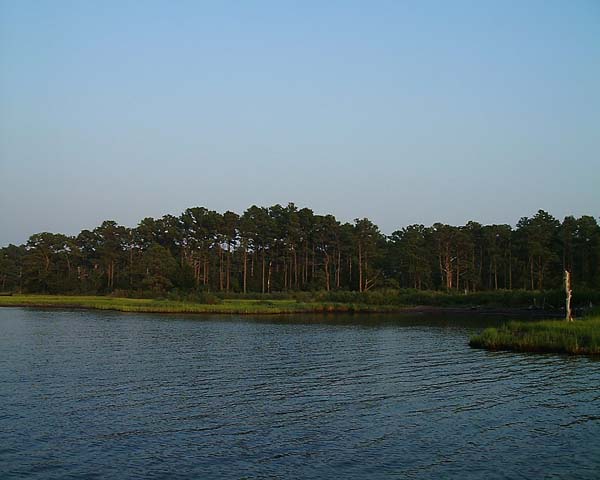 Chincoteague05 037