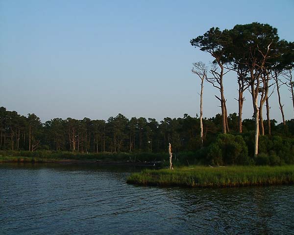 Chincoteague05 038