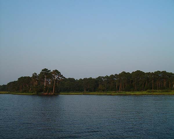 Chincoteague05 039