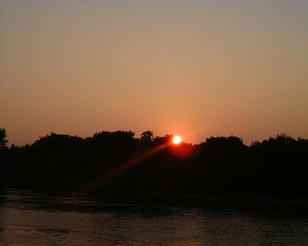 Chincoteague05 045