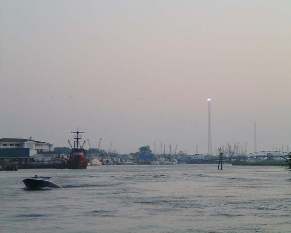 Chincoteague05 049