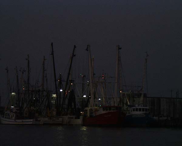Chincoteague05 051