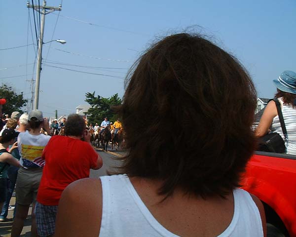 Chincoteague05 056