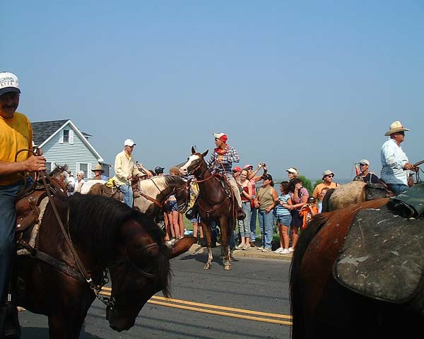 Chincoteague05 063