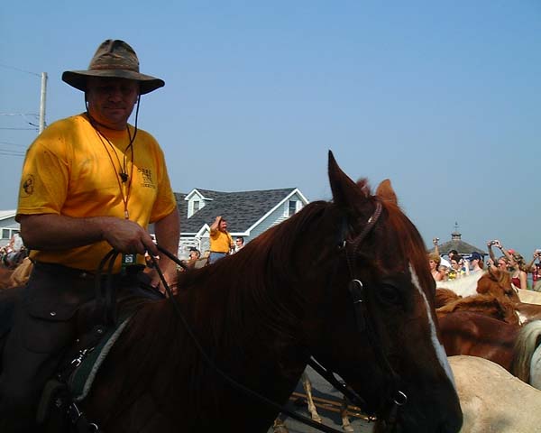Chincoteague05 069