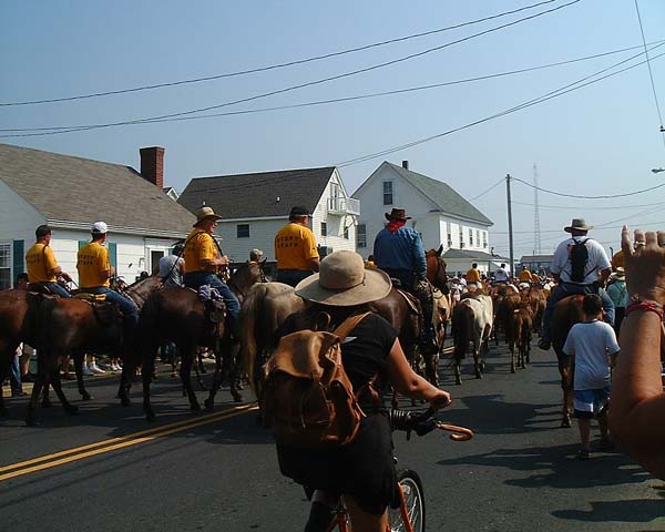 Chincoteague05 074