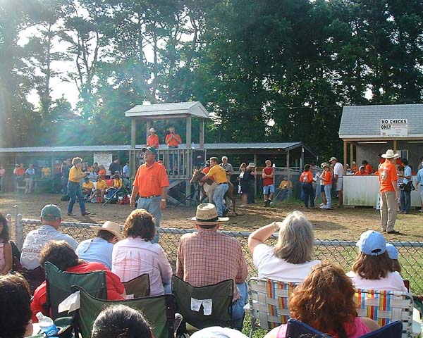 Chincoteague05 086
