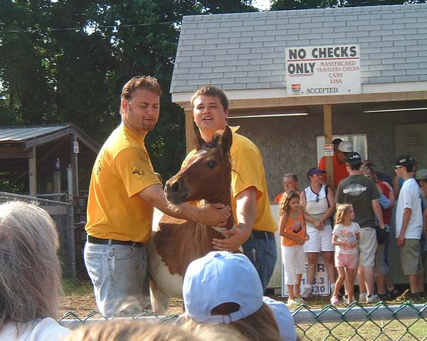 Chincoteague05 089