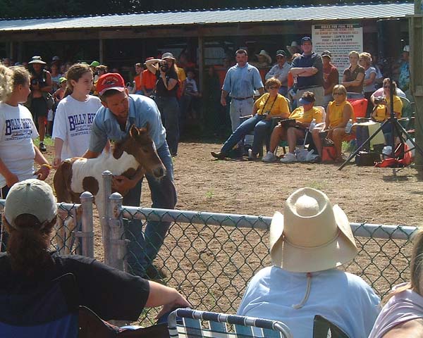 Chincoteague05 095