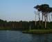 Chincoteague05 038