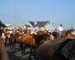 Chincoteague05 068