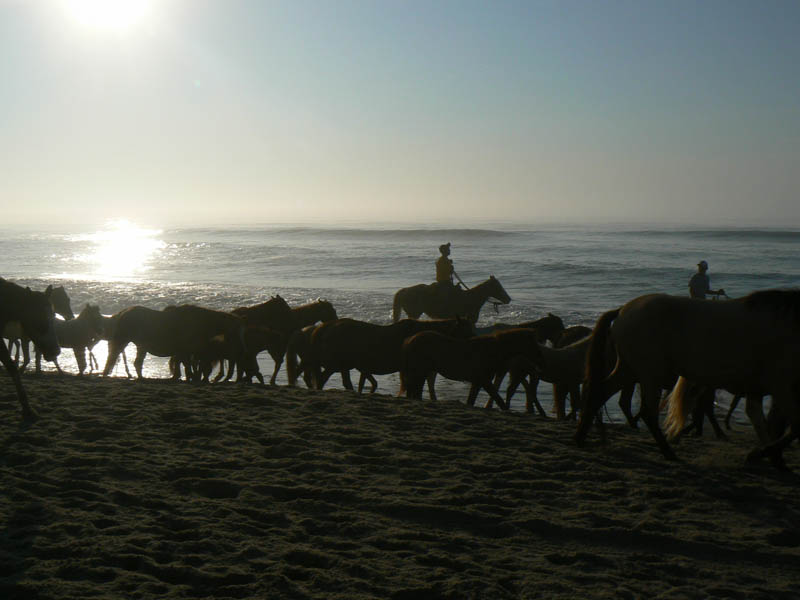 P1000249