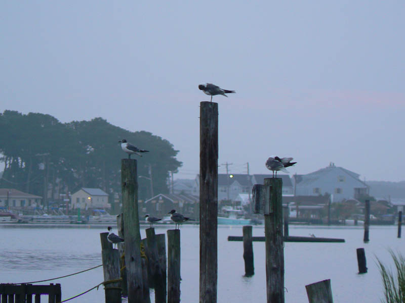 P1000314