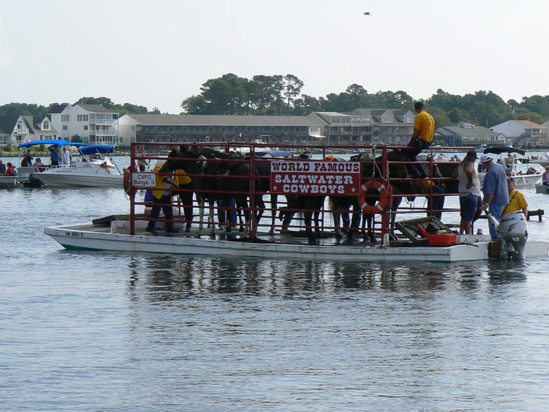 P1000328