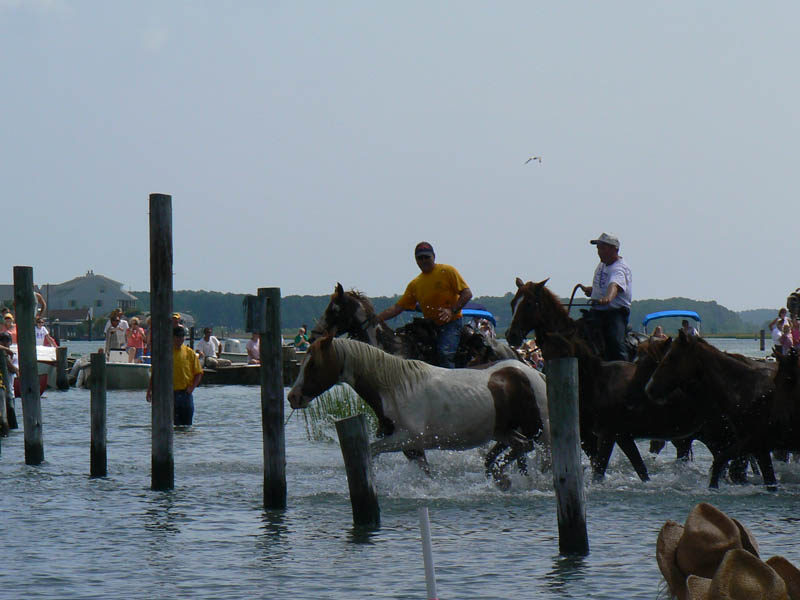 P1000333