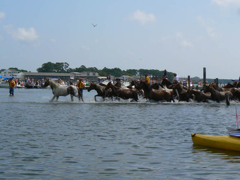 P1000335