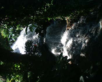 DSCF0022