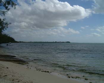 DSCF0068