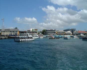 DSCF0076